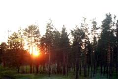 Background_3