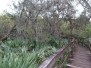 Turkey Creek Sanctuary