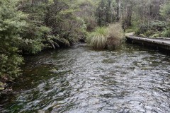 waikoropupu-springs-01