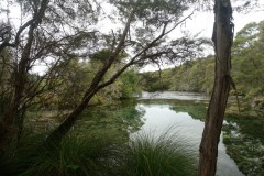 waikoropupu-springs-03