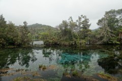 waikoropupu-springs-04