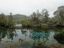 Waikoropupu Springs