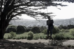 wellington-02