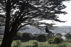 wellington-03