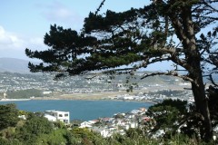 wellington-04