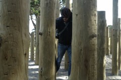 wellington-05