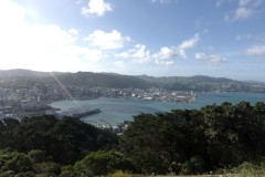 wellington-07