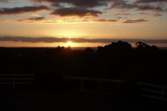 whanganui-05