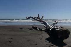 whanganui-08