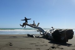 whanganui-09