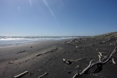 whanganui-10