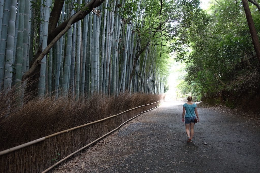 Bambuswald, auch hier muss man wieder sportlich sein um ein Foto ohne eine Menge von Menschen zu machen.