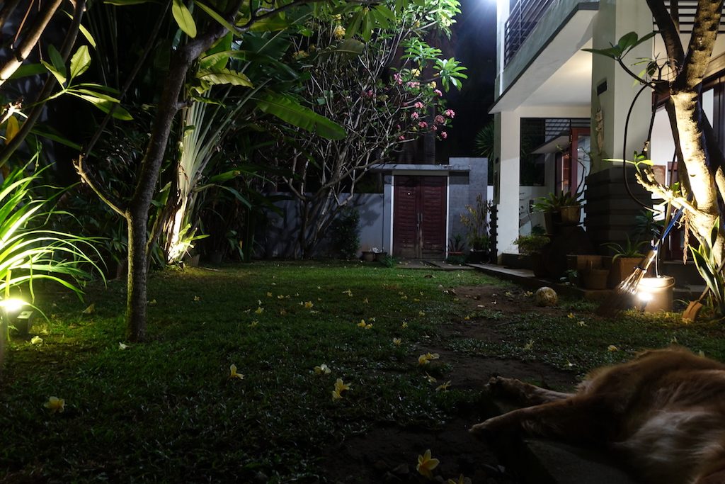 Blick aus unserer Bungalow-Tür in unserer Unterkunft in Senggigi auf Lombok. Mit Hund.