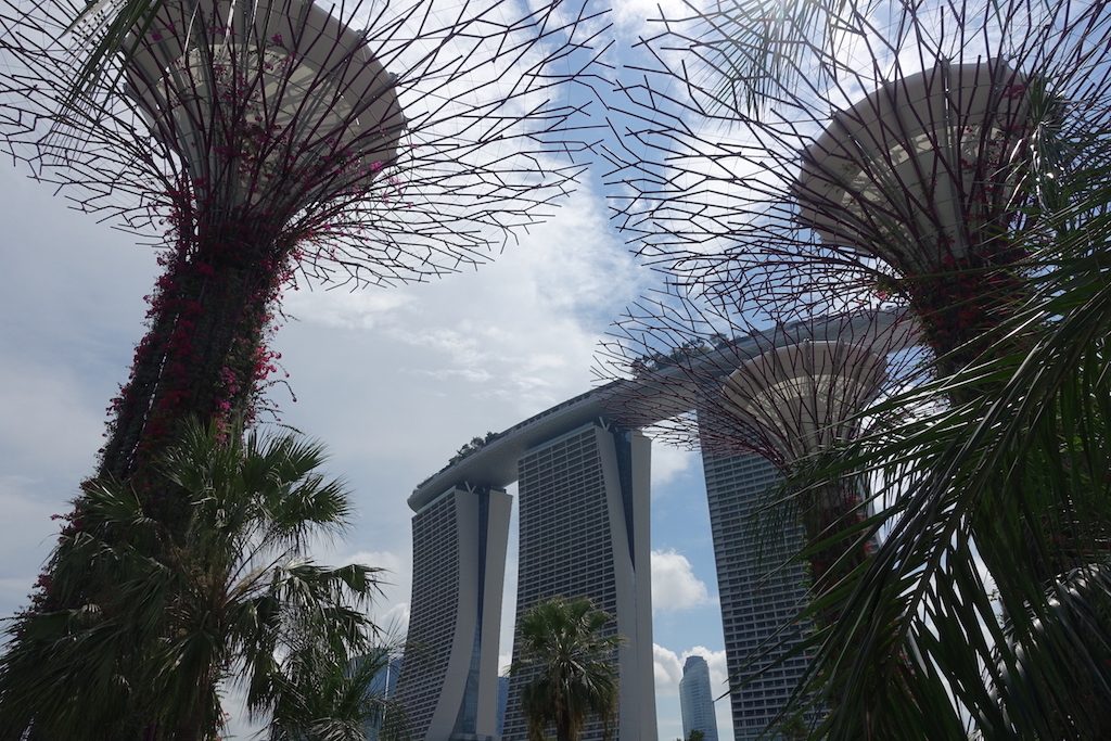 Gardens by the bay mit dem Marina Bay Sands Hotel im Hintergrund