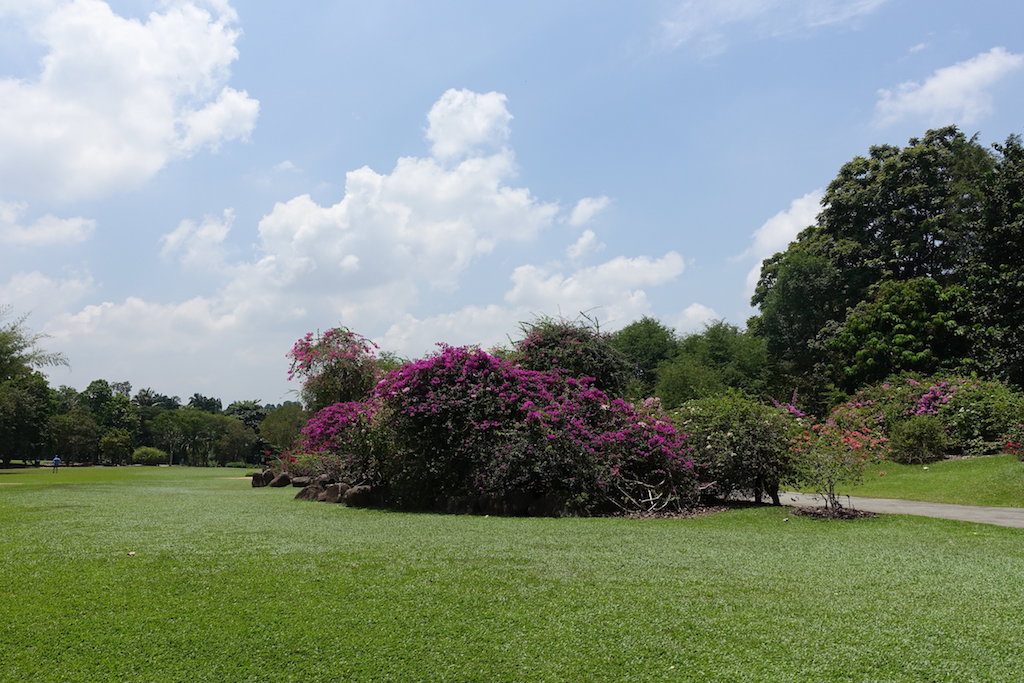 Botanical Garden, ein weiterer Garten mit dem Singapur seinem Ruf als Garden City natürlich gerecht wird.