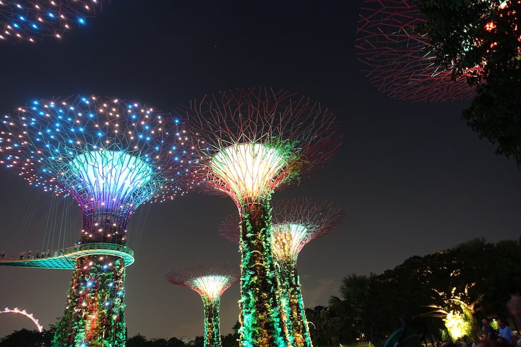 Gardens by the Bay Lichtershow. Wir hatten Broadway Musik, Star Wars wäre natürlich noch cooler gewesen. Solls geben!