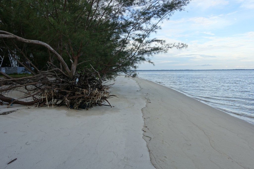 Der Strand an der Flussmündung von Kumai