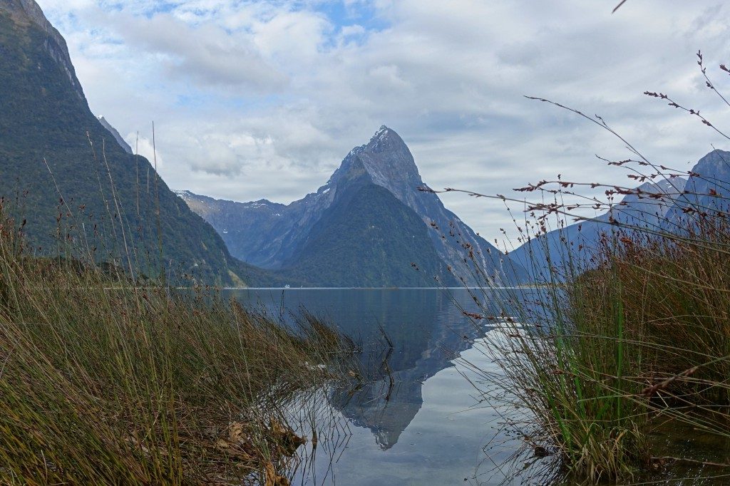 Morgendliche Ruhe am Milford Sound