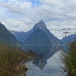 Morgendliche Ruhe am Milford Sound