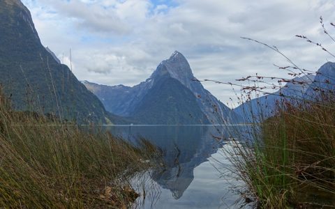 Morgendliche Ruhe am Milford Sound