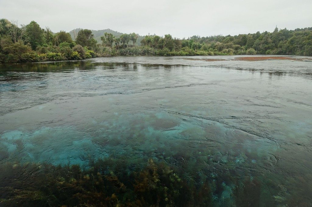 Abstecher zu den Pupu Springs auf dem Rückweg von Farewell Spit - hier kommen 14.000 Liter Wasser aus der Erde und das pro Sekunde!