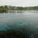 Abstecher zu den Pupu Springs auf dem Rückweg von Farewell Spit - hier kommen 14.000 Liter Wasser aus der Erde und das pro Sekunde!