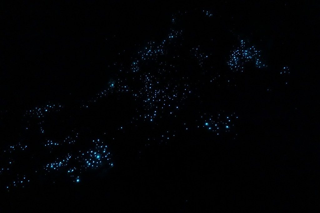 In den Höhlen ist es stockdunkel und man sieht eine Menge Glühwürmchen.