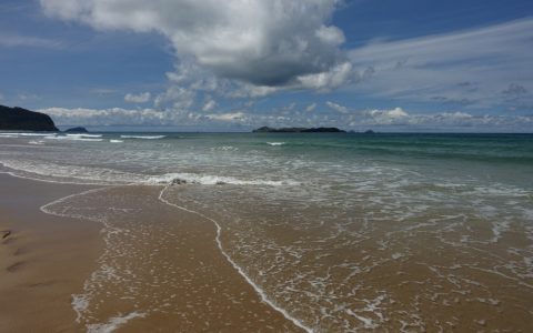 neuseeland-coromandel-04