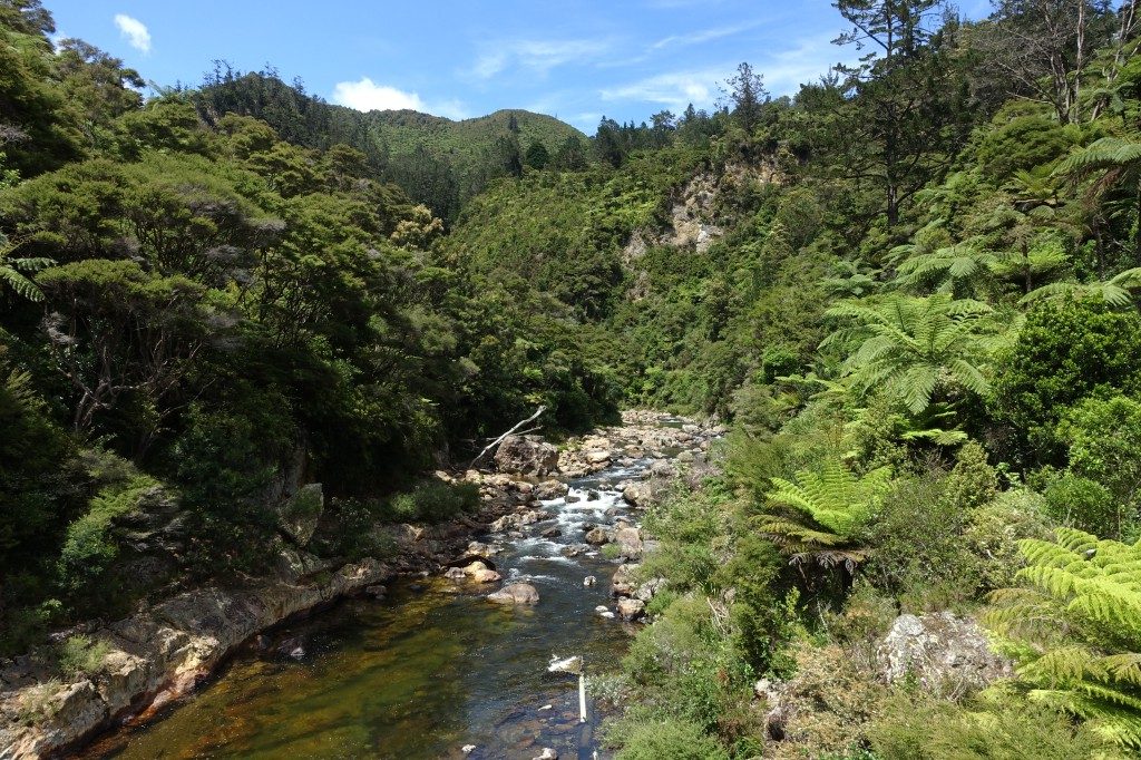 Die Schlucht in der die Karangahake Gorge liegt, ein ehemaliges Gold-Abbau Gebiet.